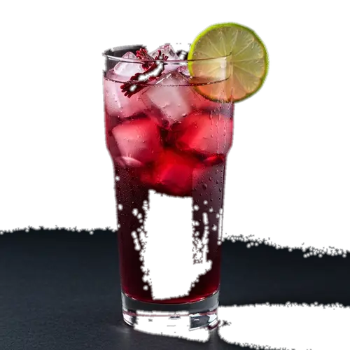 Agua de Jamaica (Hibiscus Water)