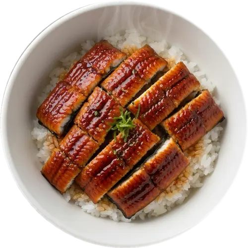 Unagi Kabayaki